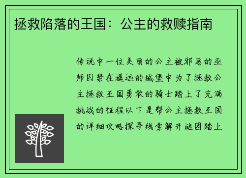 拯救陷落的王国:公主的救赎指南